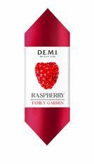Конфеты DEMI Family Garden с малиновым джемом 2.4 кг