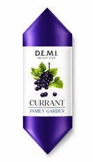 Конфеты DEMI Currant Family Garden со вкусом черной смородины 2.4 кг