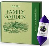 Цукерки DEMI Currant Family Garden зі смаком чорної смородини 2.4кг/ящ