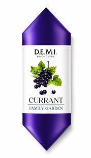 Конфеты DEMI Currant Family Garden со вкусом черной смородины 2.4 кг